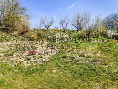 260418_Fotoface_08.jpg